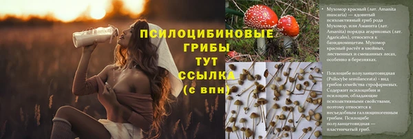 ешки Верея