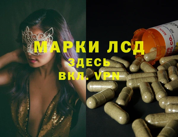 шишки Володарск