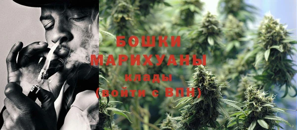 шишки Володарск