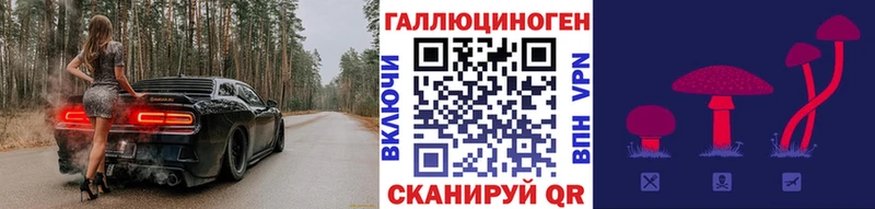 дарнет шоп  Вытегра  Галлюциногенные грибы Psilocybine cubensis 